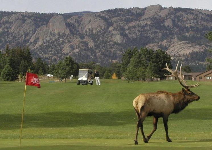 Lily Mountain Lodge - Amazing Mountains Views, Private Hot Tub, Great Location Estes Park Buitenkant foto