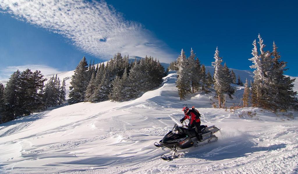 Lily Mountain Lodge - Amazing Mountains Views, Private Hot Tub, Great Location Estes Park Buitenkant foto